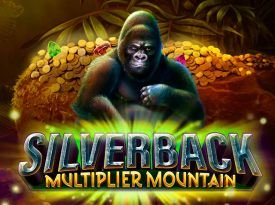 Silverback: Multiplier Mountain