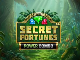 Secret Fortunes Power Combo™
