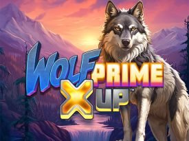 Wolf Prime X UP™