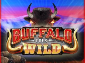 Buffalo Goes Wild