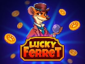 Lucky Ferret