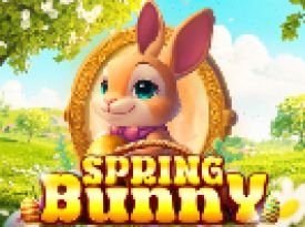 Spring Bunny
