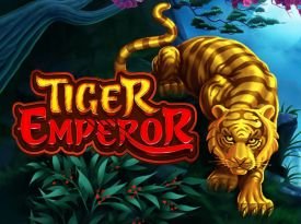 Tiger Emperor