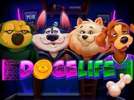 Doge Life