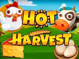 Hot Harvest