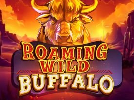 Roaming Wild Buffalo