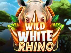 Wild White Rhino