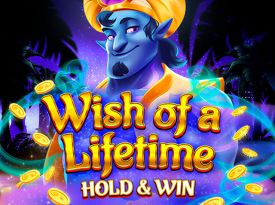 Wish of a Lifetime Hold & Win