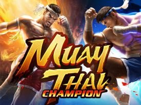 Muay Thai Champion