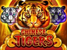 Chinese Tigers