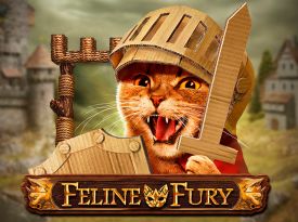 Feline Fury