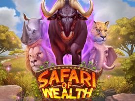 Safari of Wealth