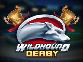 Wildhound Derby