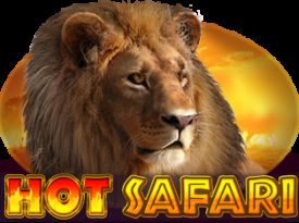 Hot Safari