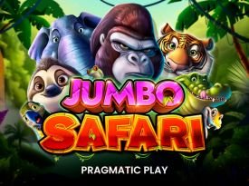 Jumbo Safari