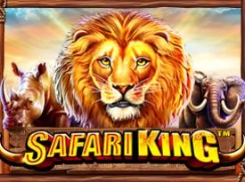 Safari King