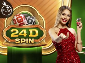 24D Spin