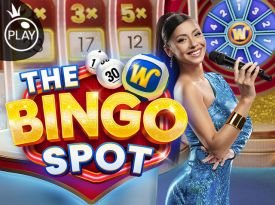 The Bingo Spot