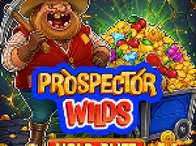 Prospector Wilds Hold & Blitz
