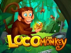 Loco the Monkey