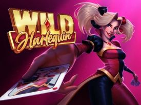 Wild Harlequin
