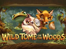 Wild Tome of the Woods