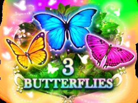 3 Butterflies