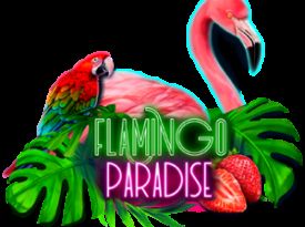 Flamingo Paradise