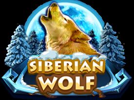 Siberian Wolf