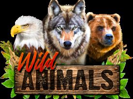 Wild Animals