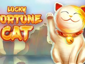 Lucky Fortune Cat