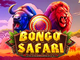 Bongo Safari