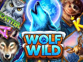 Wolf Wild 94