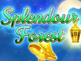 Splendour Forest