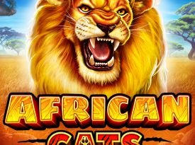 African Cats