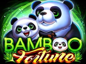 Bamboo Fortune