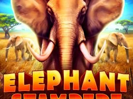 Elephant Stampede