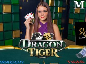M Dragon Tiger
