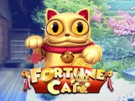 Fortune Cat