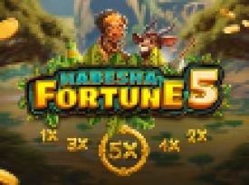 Habesha Fortune 5