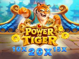 Power of Tiger