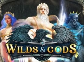 Wilds & Gods