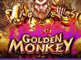 Golden Monkey