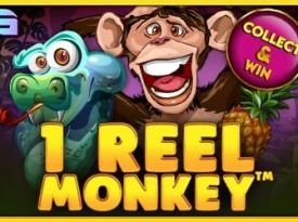 1 Reel Monkey