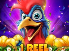 1 Reel - Rooster Mayhem