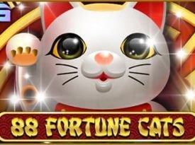 88 Fortune Cats