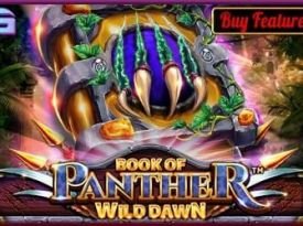 Book Of Panther - Wild Dawn