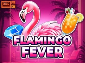 Flamingo Fever