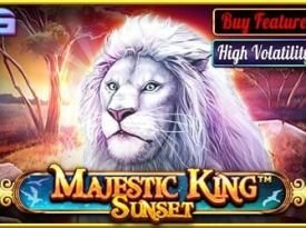 Majestic King - Sunset