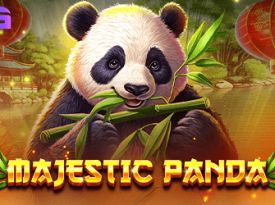 Majestic Panda